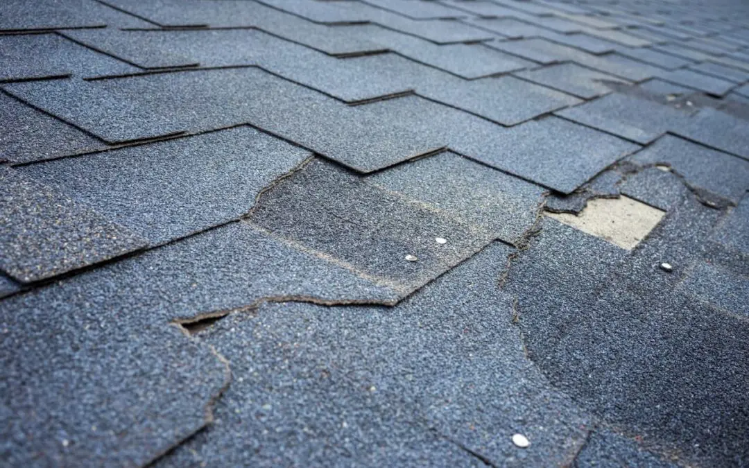 roof maintenance