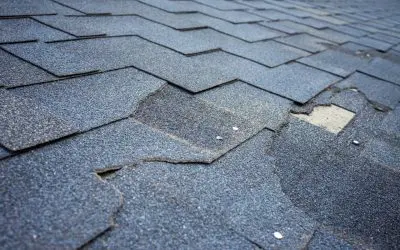 Tips for Annual Roof Maintenance