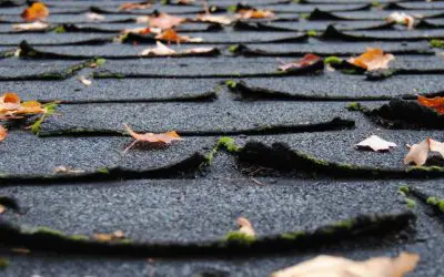 7 Signs You Need a New Roof