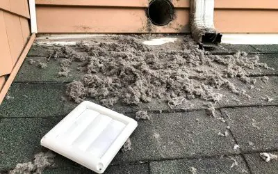 The Importance of Cleaning Your Dryer Vent