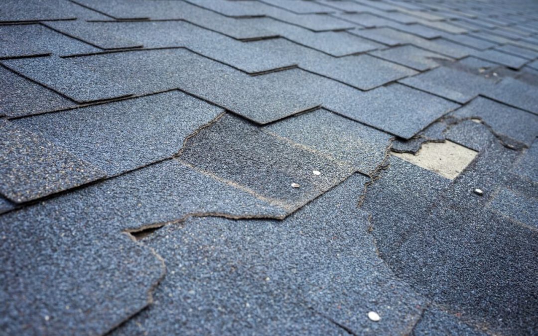 Tips for Annual Roof Maintenance